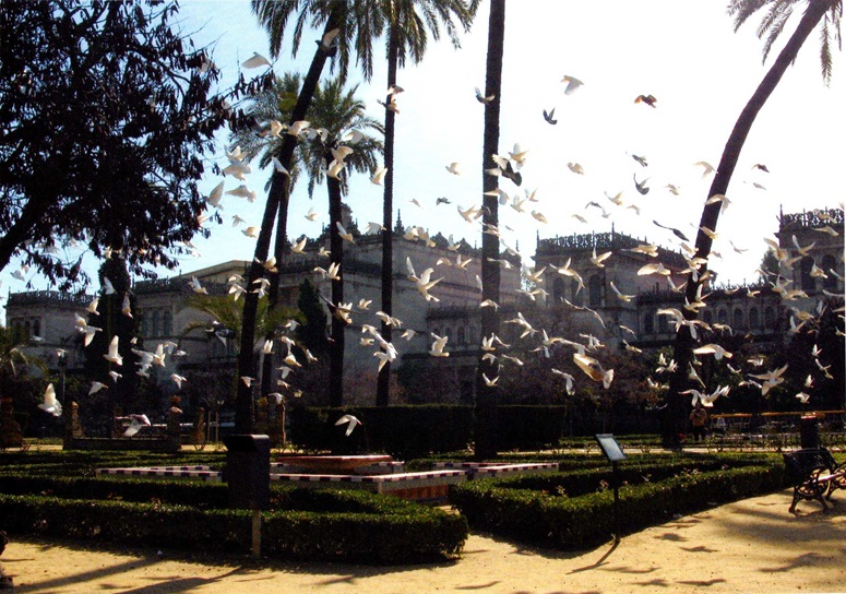 Vuelo blanco a Sevilla