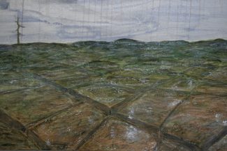 El espécimen sobrante