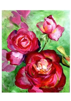 Las Rosas Princesa Grace