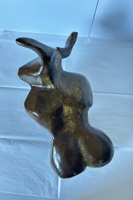 El toro Torito3